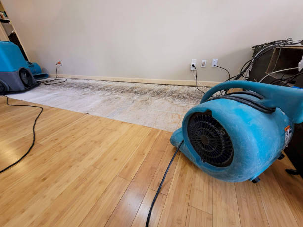 Professional Water Damage Repair technician working in Goshen, OH